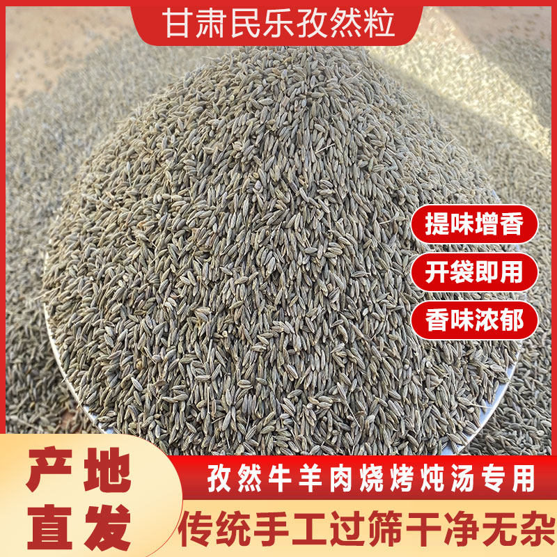 正宗甘肃民乐新鲜孜然大颗粒非小茴香烧烤调料香料孜然粉卤料批发,粮油调味/速食/干货/烘焙,香辛料/干调类,淘宝优惠券,粉丝福利购,淘宝优惠卷