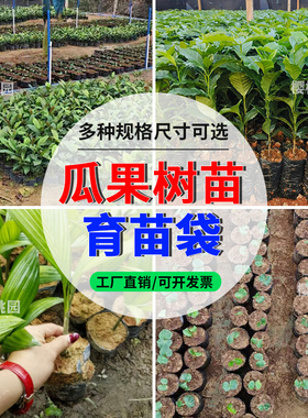 咖啡树苗育苗袋 槟榔营养袋 黑色一次性加厚种植袋 大树苗营养袋
