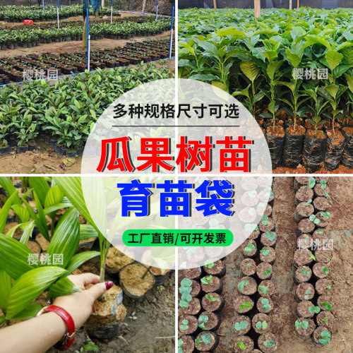 咖啡树苗育苗袋 槟榔营养袋 黑色一次性加厚种植袋 大树苗营养袋