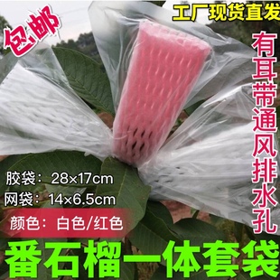 包番石榴网套袋芭乐专用防虫一体袋网袋水果树上套袋有耳有孔透气