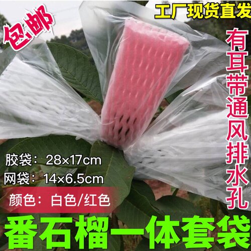 番石榴套袋芭乐专用防虫一体