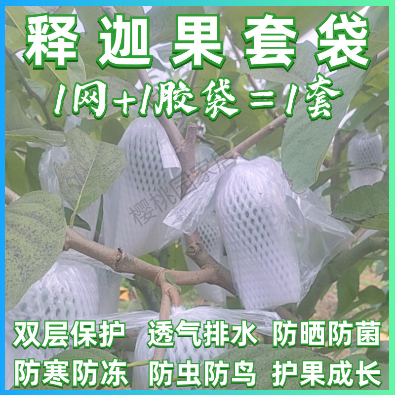 释迦果防虫一体袋加厚可视透明释迦防寒防冻套袋加厚番荔枝保护袋图片