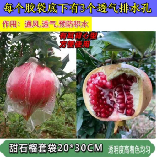 石榴防虫袋软籽石榴套袋杨桃专用袋青枣防虫袋芭乐甜石榴保护套袋
