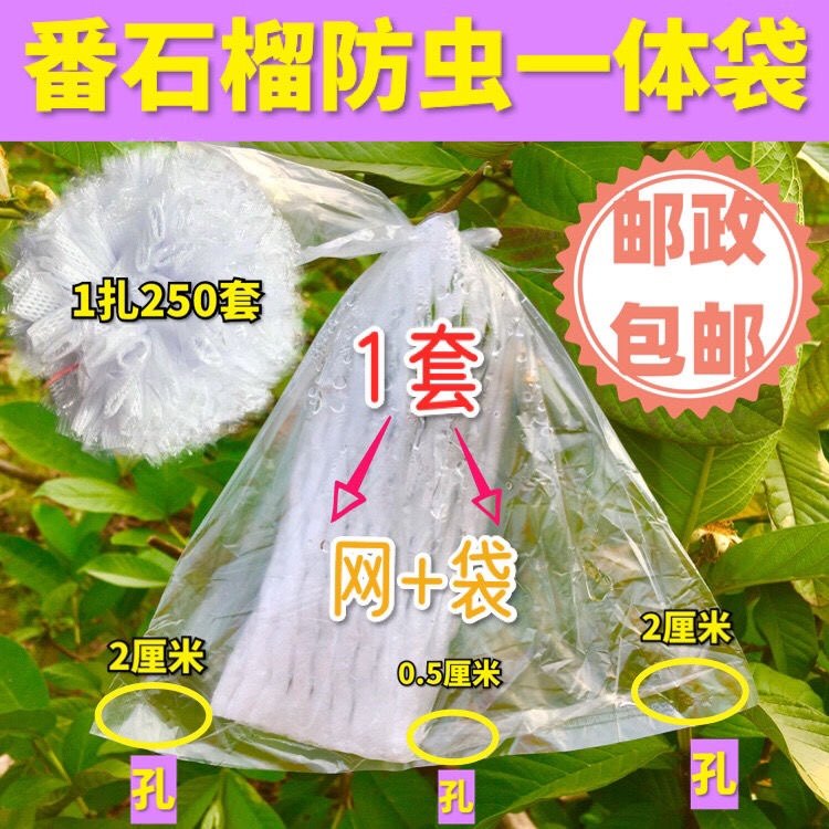番石榴套袋网袋芭乐防虫网袋专用一体泡沫石榴套袋水果防果蝇套袋,包装,礼品袋/塑料袋,淘宝优惠券,粉丝福利购,淘宝优惠卷