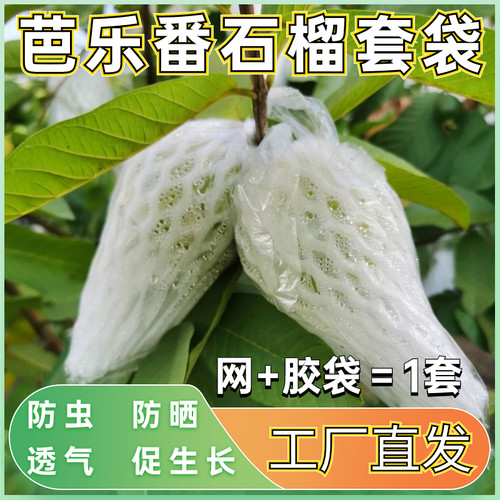 芭乐专用一体套果网大小头