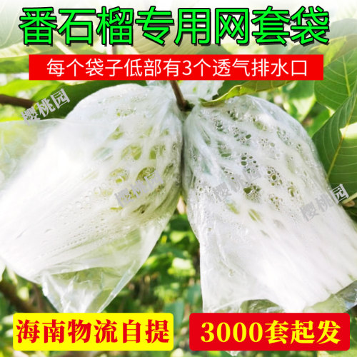 番石榴套袋台湾芭乐防虫套袋树上防虫一体袋套梨袋子百香果网套袋