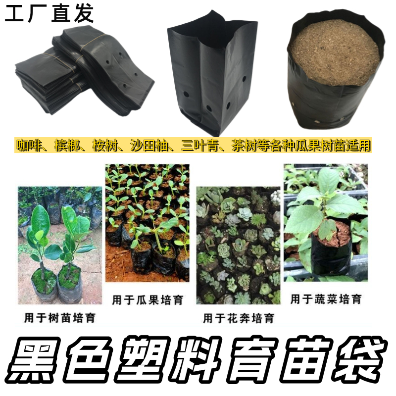 三叶青桉树育苗袋育苗袋槟榔营养袋黑色塑料加厚种植袋树苗营养袋