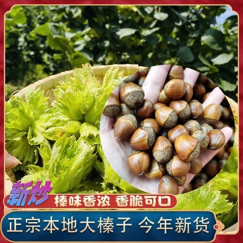 26新货东北特产大榛子薄皮熟香脆原味坚果500g包邮 手拍榛子