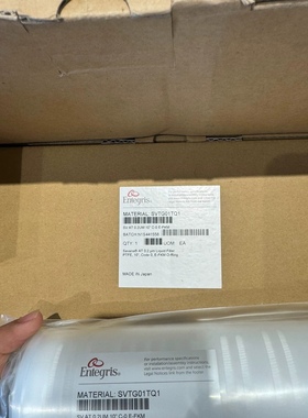 美国ENTEGRIS英特格，过滤器SVTG01TQ1