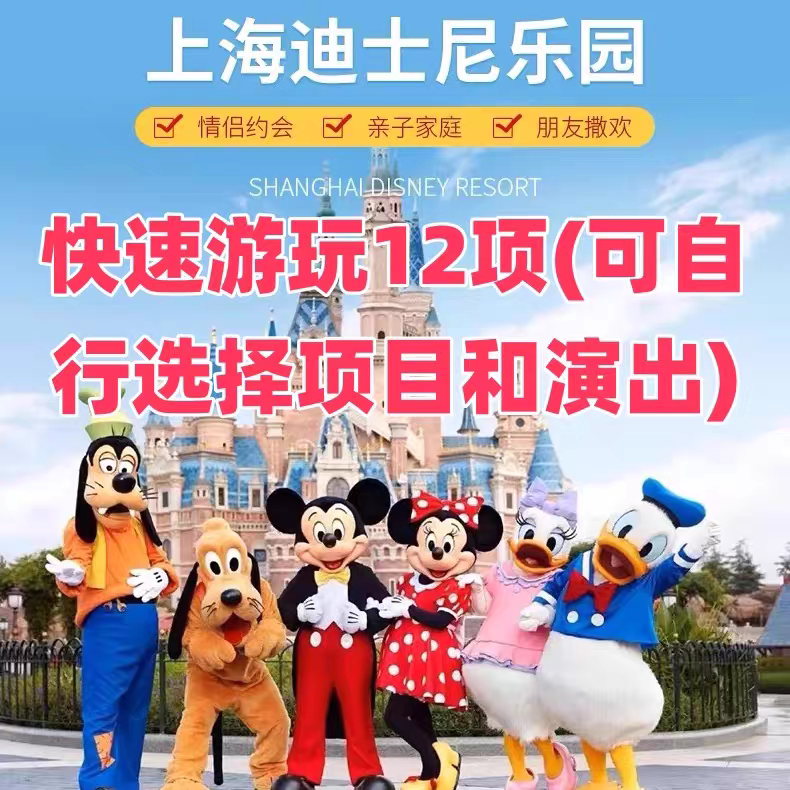 上海迪士尼一对一导游带玩管家服其它设计服务