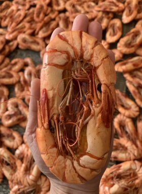 南澳野生即食九节虾干特大碳烤大号斑节对虾海鲜礼盒礼盒装零食