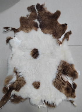 整张羊皮内蒙古棉羊皮羊剪绒寒羊皮坐垫椅垫气车垫沙发垫藤椅摇椅