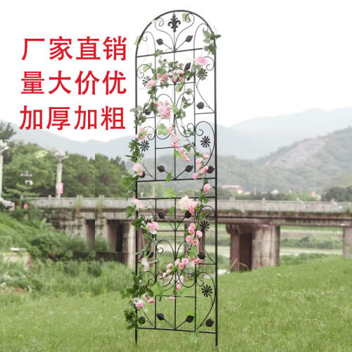 铁线莲爬藤架月季绿萝蔷薇植物攀爬花架户外花园庭院栅栏铁艺支架