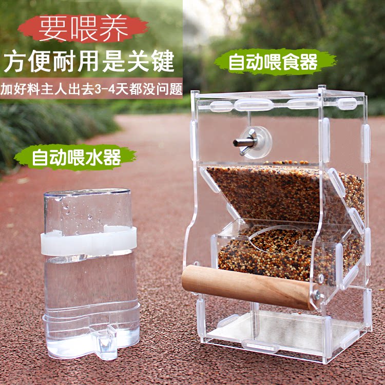 自动喂食器 下料器 虎皮鹦鹉防撒防溅 鸟食盒 鸟用喂水器 饮水器