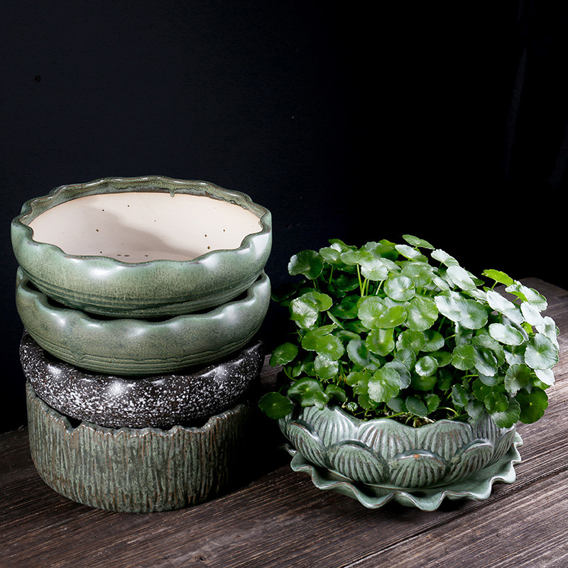 水培盆栽创意睡碗莲金钱草水培植物盆栽多肉水仙花拼盘陶瓷花盆