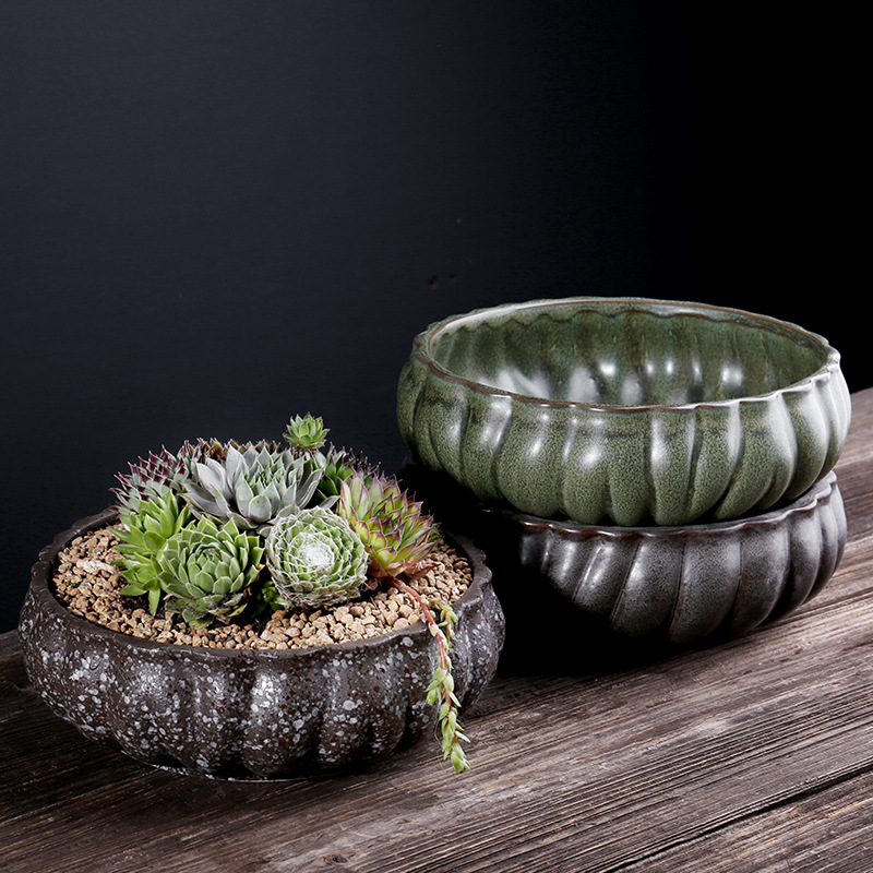 创意睡碗莲金钱草水培植物盆栽 个性窑变多肉水仙花拼盘陶瓷花盆