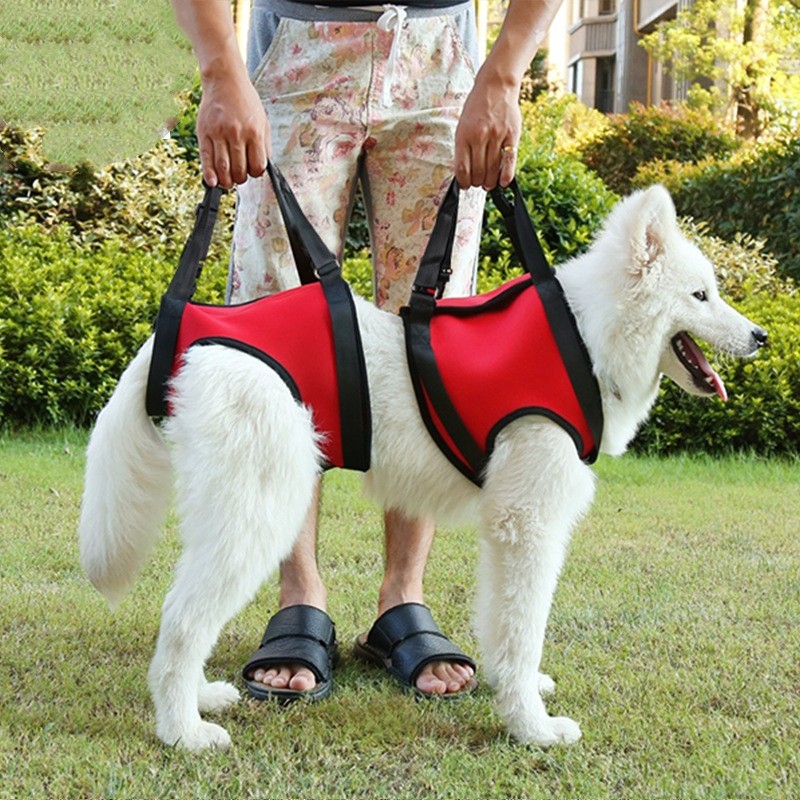 宠物辅助带老年犬残疾受伤瘫痪狗狗前后腿金毛关节腰带外出牵引带,宠物/宠物食品及用品,项圈/肩带,淘宝优惠券,粉丝福利购,淘宝优惠卷