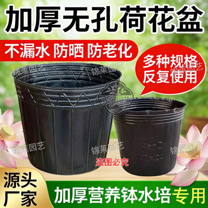 加厚无孔营养钵无孔荷花盆不漏水抗老化碗莲睡莲水培专用盆营养钵