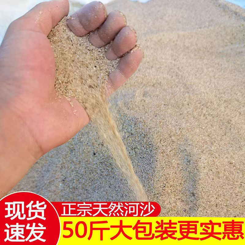 河沙养花种植土壤天然粗河沙黄沙子鱼缸底砂多肉铺面石建筑砂土