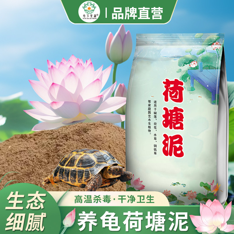 乌龟冬眠土荷塘泥水生植物营养土细腻淤泥种植乌龟冬眠通用泥土