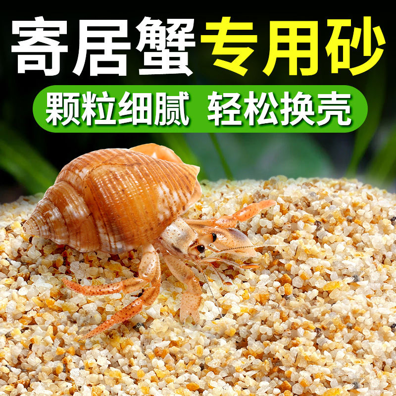【新品首发】免洗海沙寄居蟹专用沙鱼缸底砂水草螃蟹底沙石纯天然