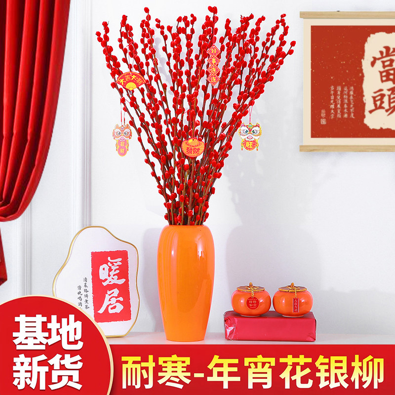 银柳真花鲜枝抱抱福桶喜庆年宵花卉盆栽室内红色干花水培植物雪柳,鲜花速递/花卉仿真/绿植园艺,干花,淘宝优惠券,粉丝福利购,淘宝优惠卷