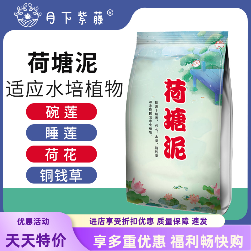 荷塘泥天然碗莲专用泥睡莲铜钱