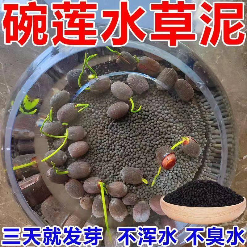 碗莲专用泥水草泥碗莲高肥力不臭水不浑水碗莲睡莲水培植物营养泥