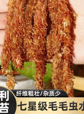 智利进口水苔土毛毛虫水苔蝴蝶兰营养土懒人盆绿色吸水盆