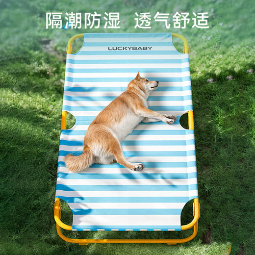 四季通用免安装宠物狗床中大型犬狗狗夏天离地防潮折叠行军床狗窝