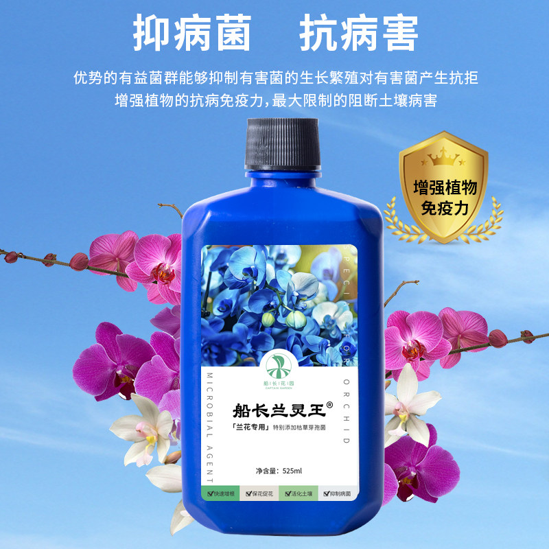 兰科专用促花营养液有机