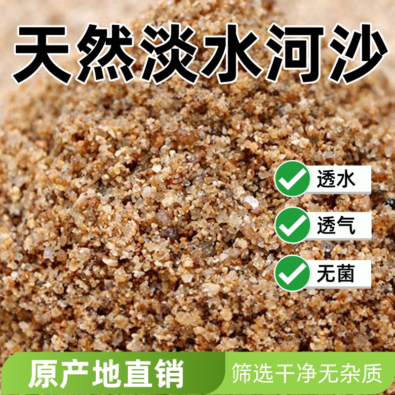 50斤乌龟冬眠沙龟缸造景河沙养乌龟沙子龟沙巴西龟草龟过冬用品沙