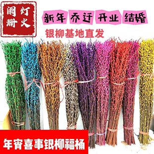 招财银柳鲜枝年宵花带花苞七彩年宵花卉真花乔迁高档客厅摆放花