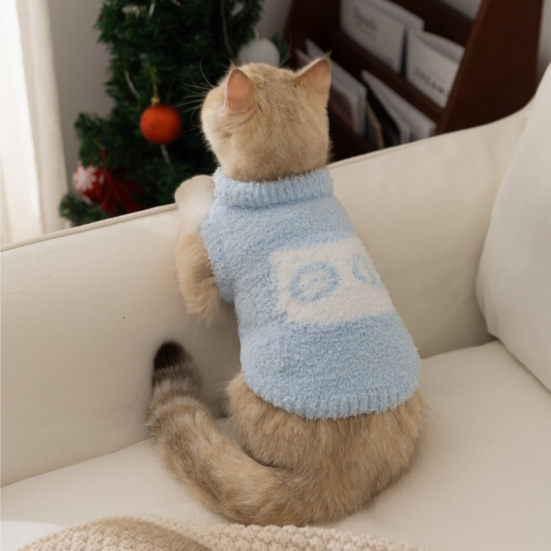 韩系简约秋冬猫咪新款两脚毛衣德文猫无毛猫衣服宠物衣服猫咪衣服