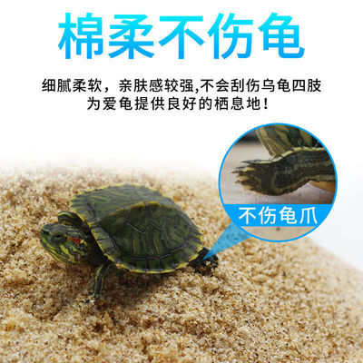 50斤乌龟冬眠沙龟缸造景河沙养乌龟沙子龟沙巴西龟草龟过冬用品沙