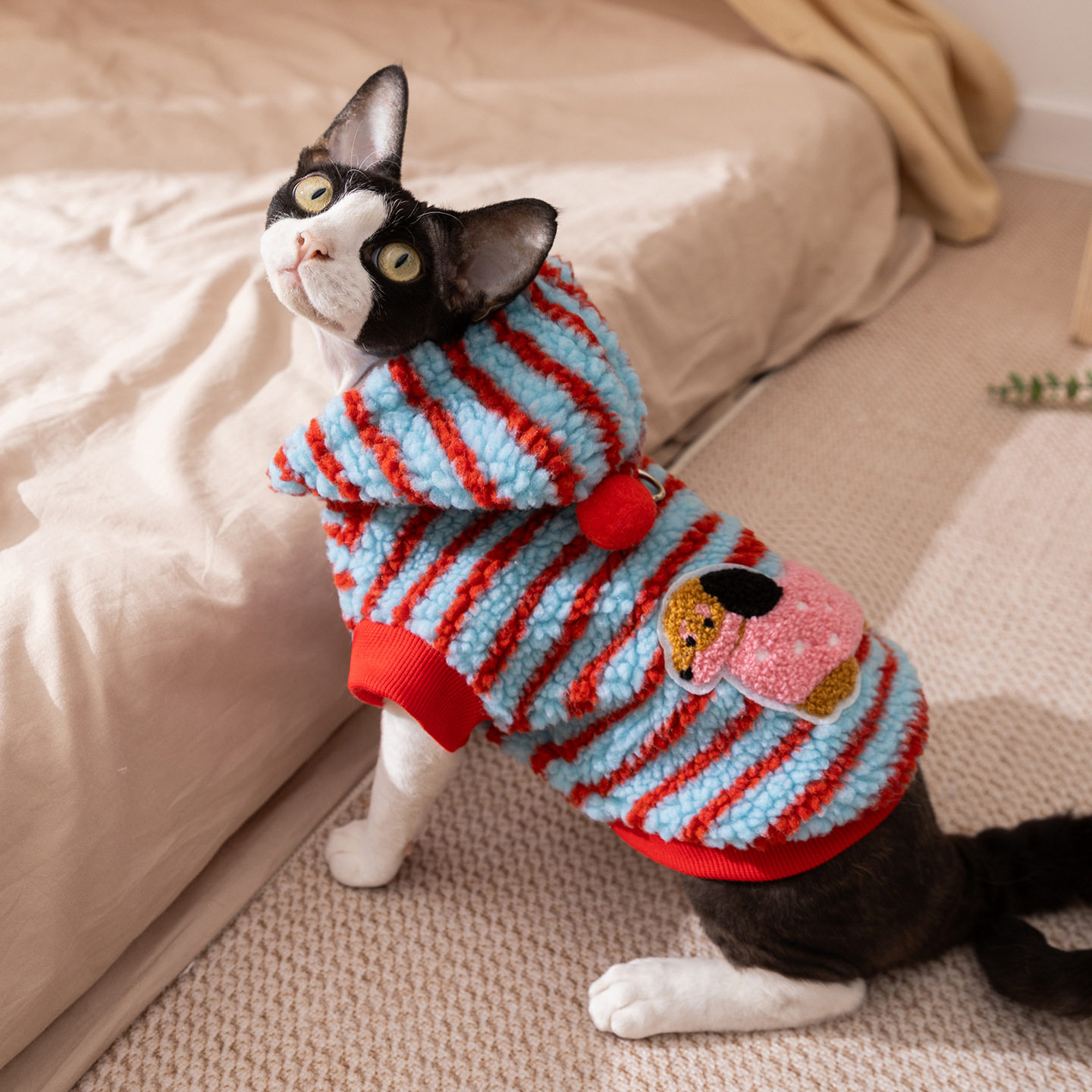 宠物衣服卡通条纹腊肠犬牵引连帽绒衣德文猫无毛猫猫咪衣服