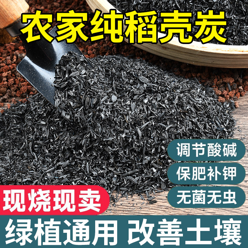 稻壳炭改良土壤防虫杀菌种花