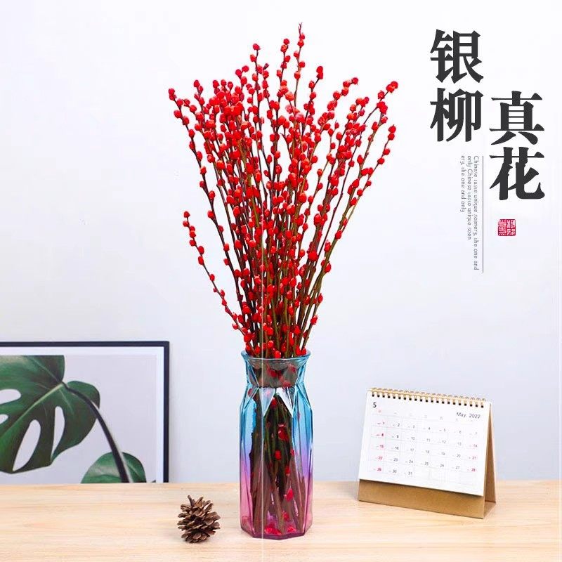 银柳真花鲜枝抱抱福桶喜庆年宵花卉盆栽室内红色干花水培植物雪柳,鲜花速递/花卉仿真/绿植园艺,干花,淘宝优惠券,粉丝福利购,淘宝优惠卷