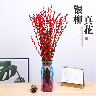 银柳真花鲜枝抱抱福桶喜庆年宵花卉盆栽室内红色干花水培植物雪柳