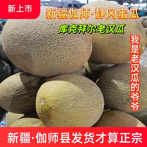 新疆特产新鲜水果哈密瓜伽师瓜