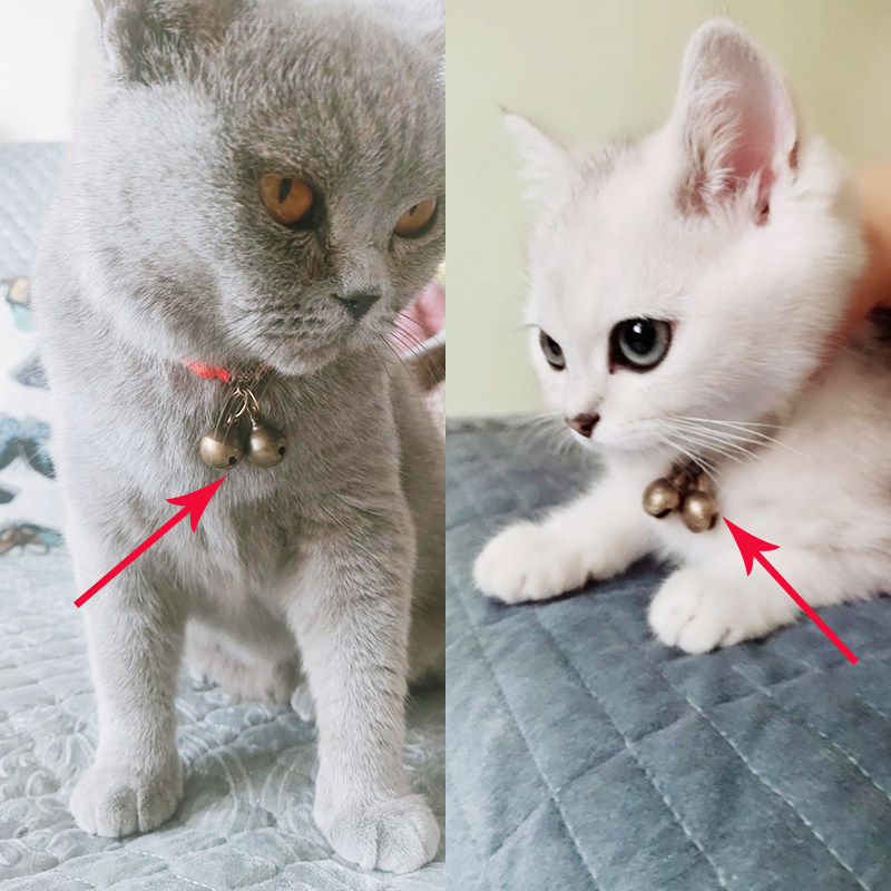 宠物狗狗铃铛项链泰迪博美项圈铃铛金毛犬小狗吊坠绳猫咪脖围项圈