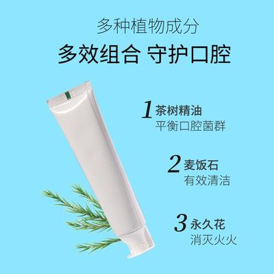 Camellia sinensis Tree Maifan Stone Toothpaste茶树麦饭石牙膏