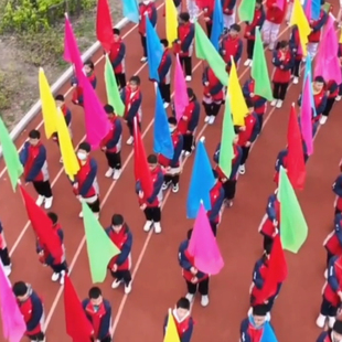 红黄蓝绿白黑橙紫纯色彩旗 运动会旗帜队旗拓展旗舞蹈表演方阵旗