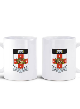 澳大利亚新南威尔士大学UNSW 马克杯茶水杯咖啡杯子 文创礼品纪念