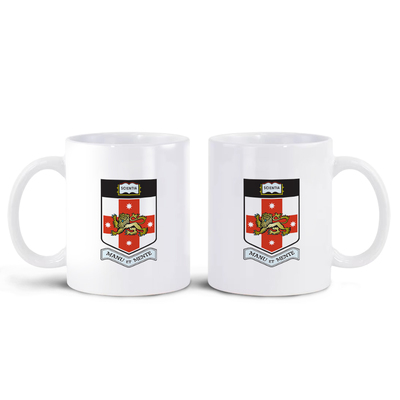 澳大利亚新南威尔士大学UNSW 马克杯茶水杯咖啡杯子 文创礼品纪念
