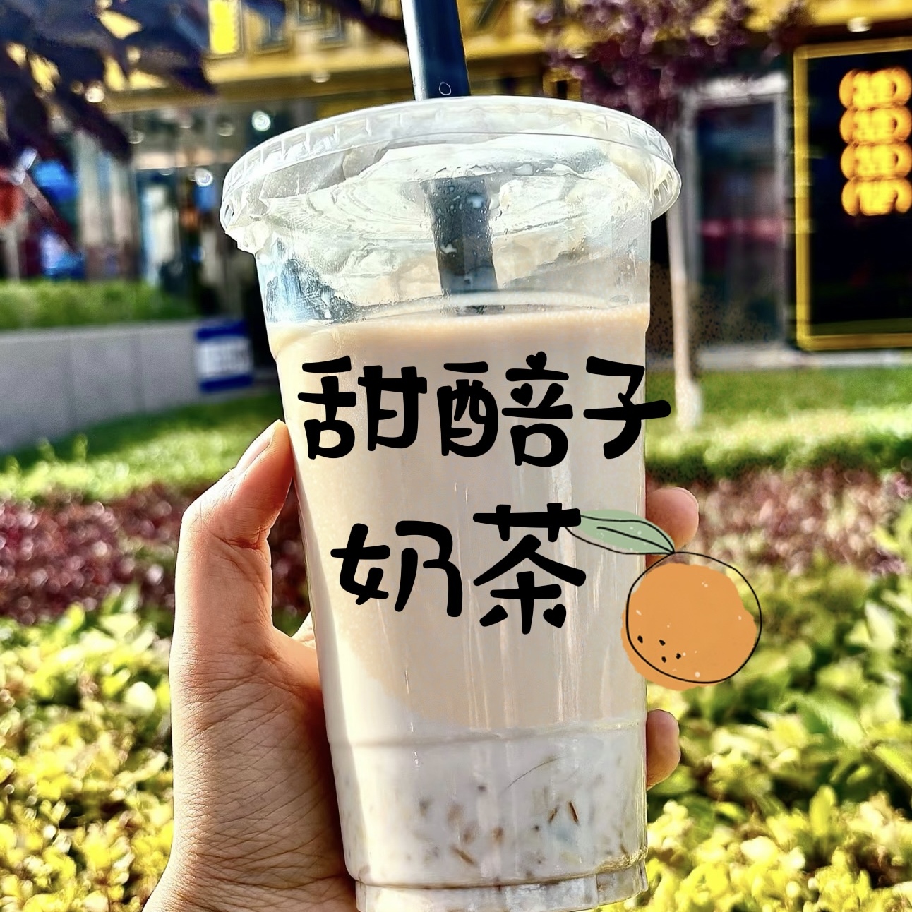 天水甜胚子奶茶甘肃兰州特产甜胚子燕麦醪糟放哈专用莜麦酒酿酸奶