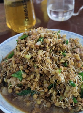 扁豆老品种小扁豆新鲜干货杂粮农家甘肃定西特产可生扁豆芽五谷