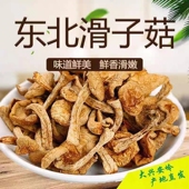 东北特产长白山滑子蘑干货非野生小黄磨菇香菇小鸡炖蘑菇500g 包邮