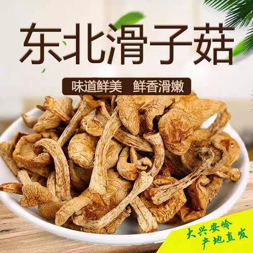 东北特产长白山滑子蘑小鸡炖蘑菇