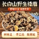 东北长白山山珍野生榛蘑丁干货农家自采蘑菇肉厚无根250g新鲜日晒